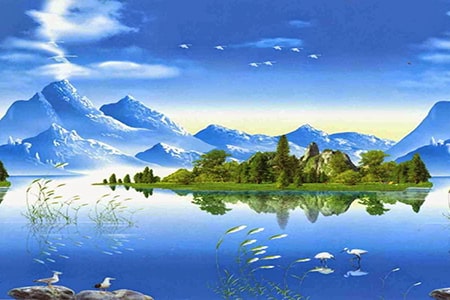 giải thích phim vagabond