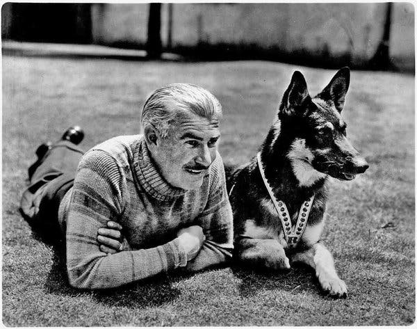 rin tin tin